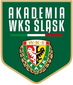 Akademia WKS Slask